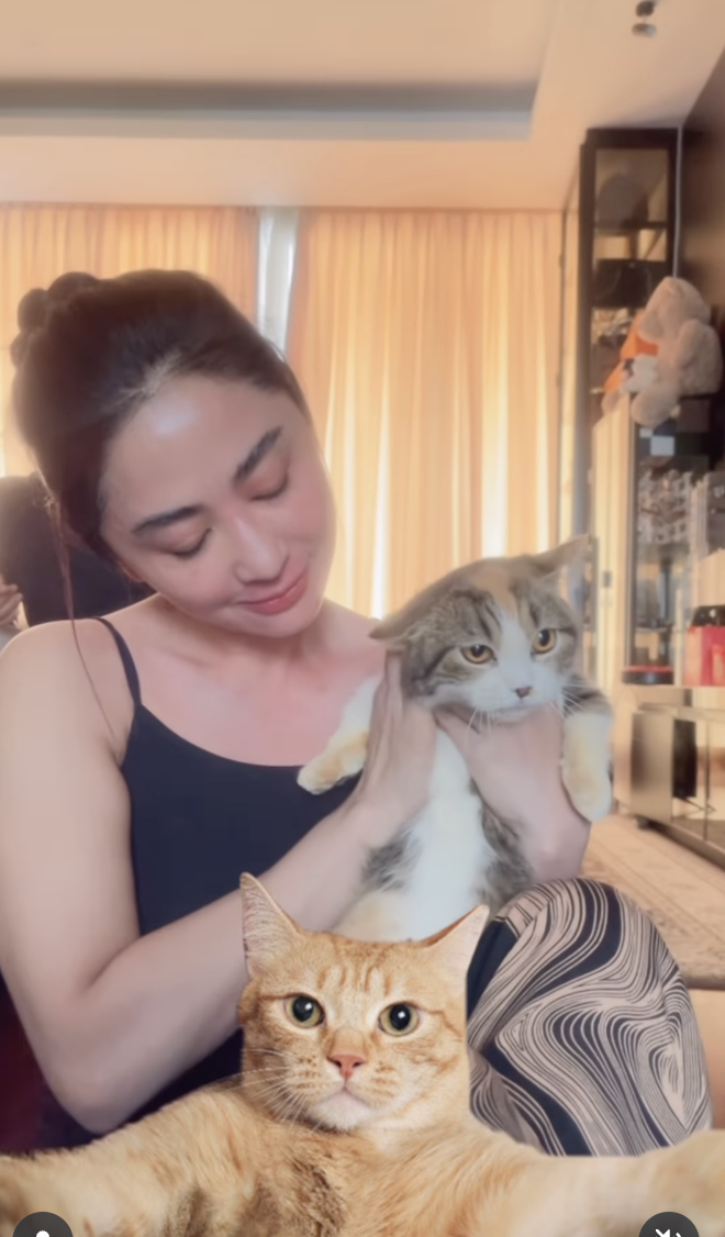 dewi perssik dan kucing eko patrio